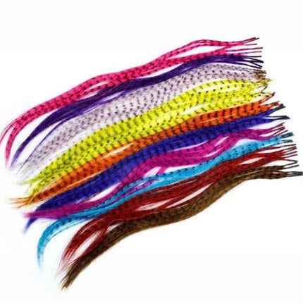 Extensions de cheveux plumes synthétiques colorées