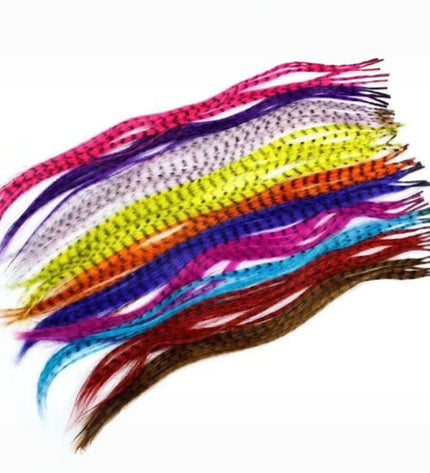 Extensions de cheveux plumes synthétiques colorées