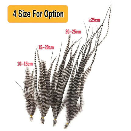 Extensions plume naturelles noires et blanches en différentes longueurs pour coiffure élégante